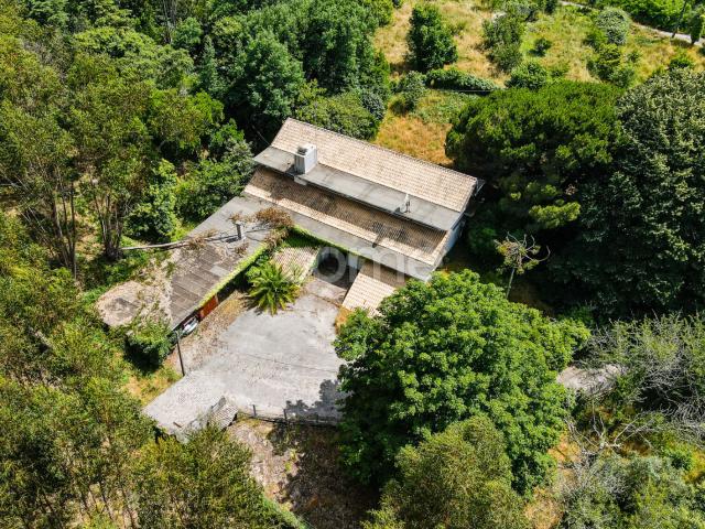 Quinta T4 + T3 I Terreno I Figueiró dos Vinhos
