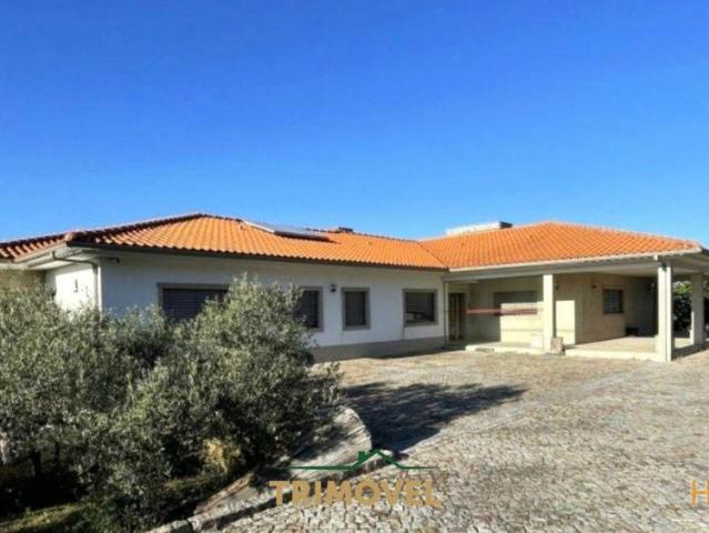 Quinta T5+2 em Pleno Alto Douro Vinhateiro | 26063923749
