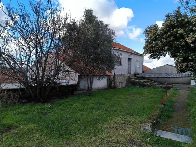 Quinta T5 em João Antão de 228,00 m²