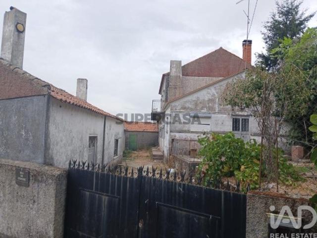 Quinta T5 em João Antão de 228,00 m²