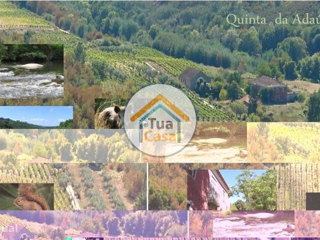 Quinta T5 Senhorial no Rio Do