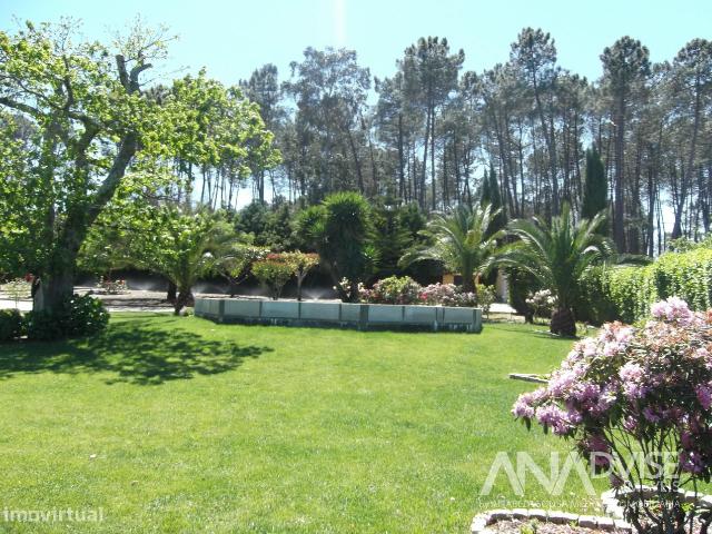 Quinta T6 Venda em Fornos de Maceira Do,Mangualde
