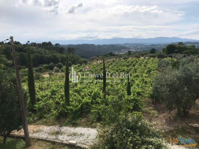 Quinta T6 Venda em Repeses e São Salvador,Viseu | 26063584337