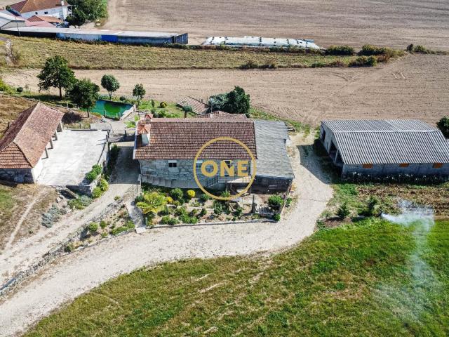 Quinta Temática com +30.000 m² em Silveiros – Barcelos