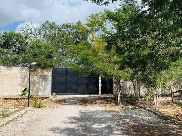 Quinta Ticuch en Venta en Valladolid