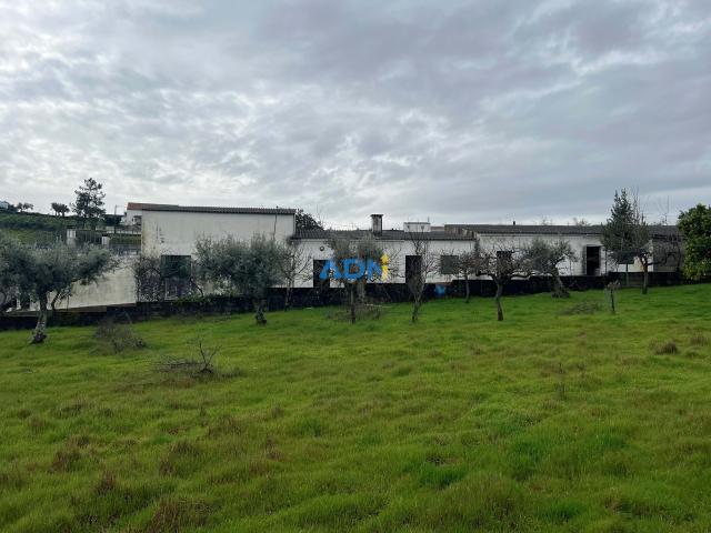 Quinta Tradicional para Venda – Cebolais de Cima, Castelo Branco