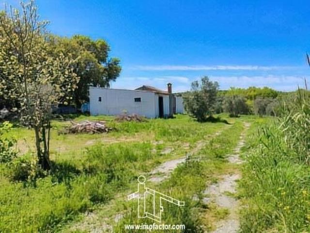 Quinta V1 à venda em Nossa Senhora da Graça, concelho de Nisa, Portalegre, Portugal