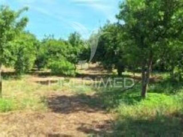 Quinta V1 à venda em Pardais, concelho de Vila Viçosa, Évora, Portugal
