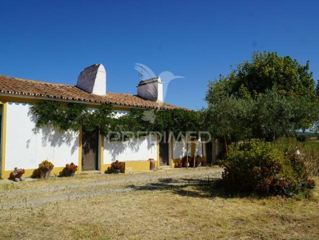 Quinta V2 à venda em Redondo, concelho de Redondo, Évora, Portugal