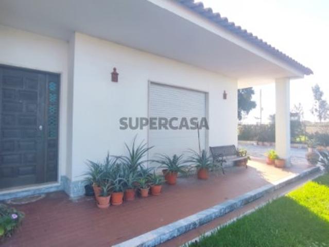 Quinta V3