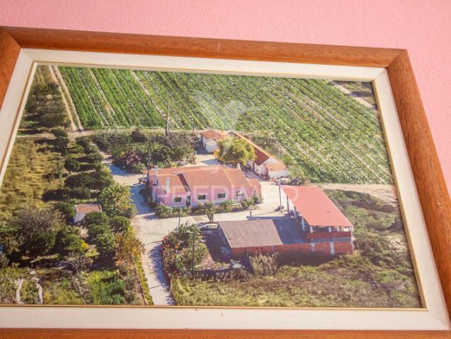 Quinta V3 à venda em Poceirão, concelho de Palmela, Setúbal, Portugal