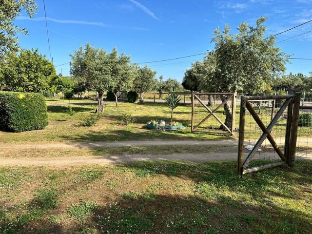 Quinta V4 à venda em Martinchel, concelho de Abrantes, Santarém, Portugal