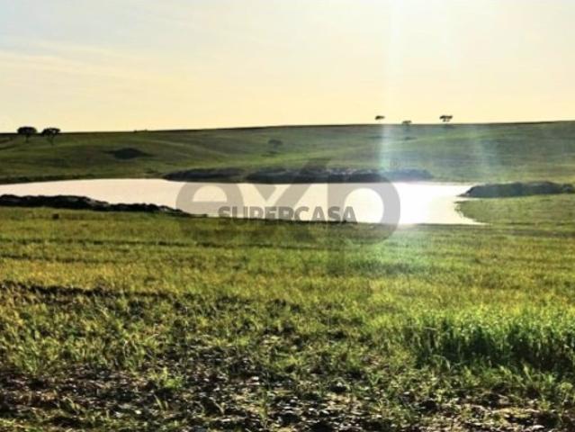 Herdade Venda em Castro Verde e Casével,Castro Verde