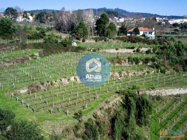 Quinta Venda em Abragão,Penafiel | 26053518949