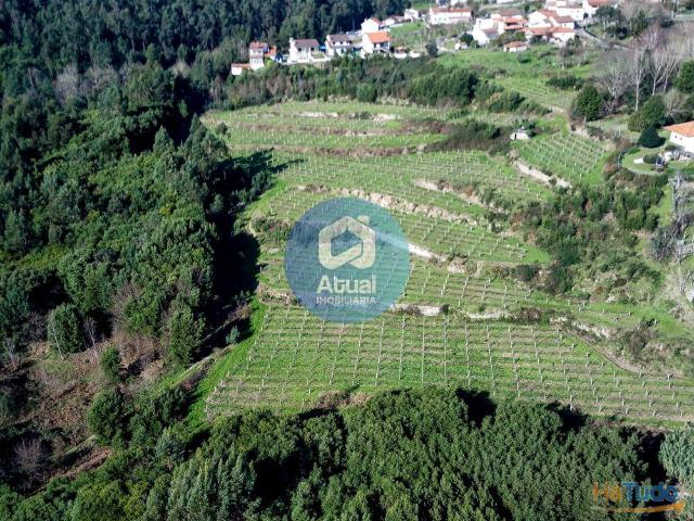 Quinta Venda em Abragão,Penafiel | 26063518950