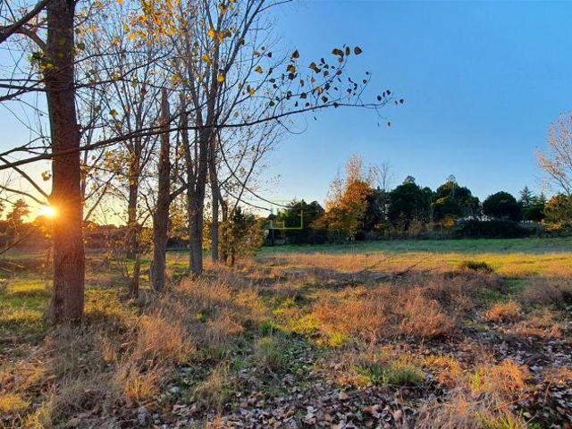 Quinta Venda em Alcains,Castelo Branco | 26063013812