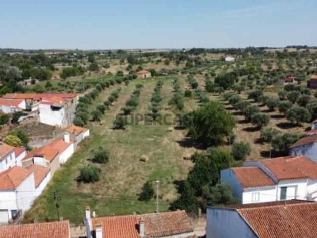 Quinta Venda em Ladoeiro,Idanha a Nova