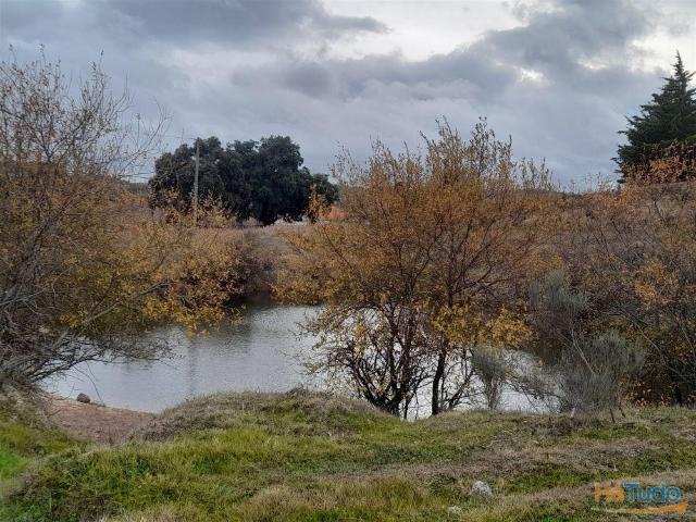 Quinta Venda em Póvoa de Rio de Moinhos e Cafede,Castelo Branco | 26063207394
