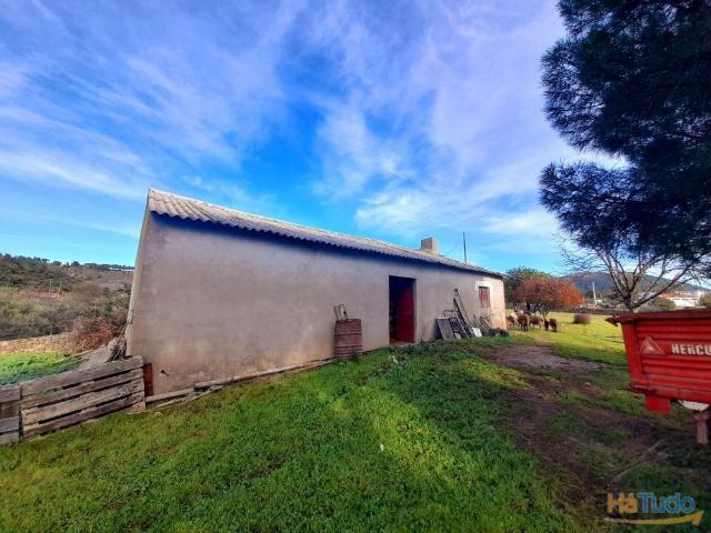 Quinta Venda em Penha Garcia,Idanha a Nova | 26063156889