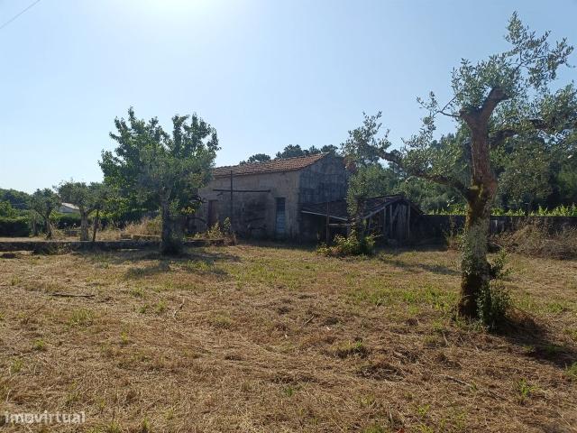 Quinta Venda em Vila Nova de Tazem,Gouveia