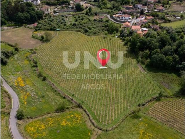 Quinta Vinícola
