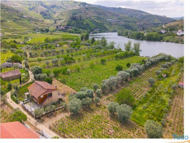 Quinta vinícola com acesso Privado ao Rio Douro | 26064066172