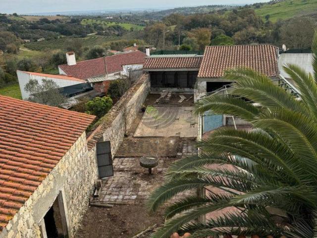 Quinta vinícola ? Santarém | 26064088793