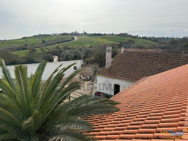 Quinta vinícola ? Santarém | 26084088793