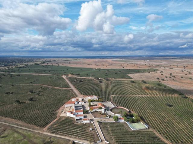 Quinta/Herdade em Évora
