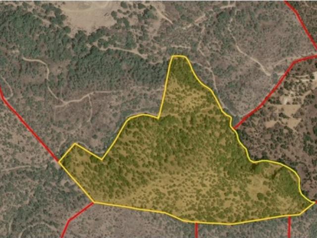 Quinta/Herdade T1, Grândola e Santa Margarida Da Serra, Grândola | BPI Expresso Imobiliário