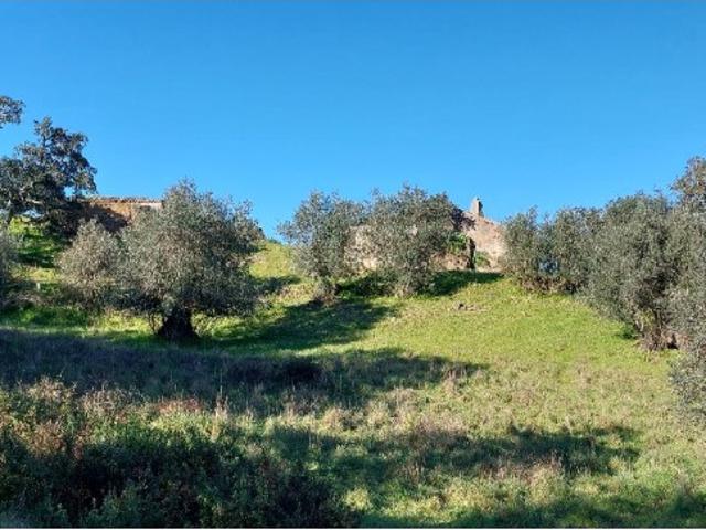 Quinta/Herdade, Grândola e Santa Margarida Da Serra, Grândola | BPI Expresso Imobiliário