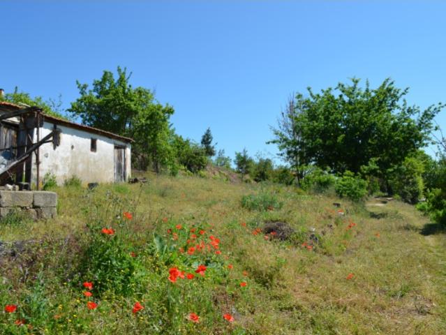 Quinta/Herdade, Lamego Almacave e Sé, Lamego | BPI Expresso Imobiliário