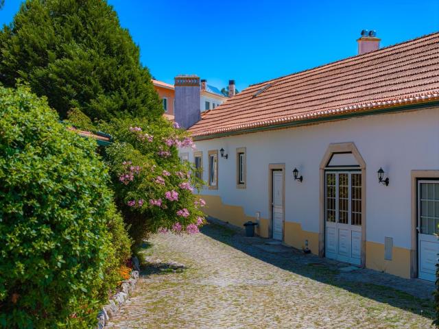 Quinta/Herdade, Santa Catarina, Caldas da Rainha | BPI Expresso Imobiliário
