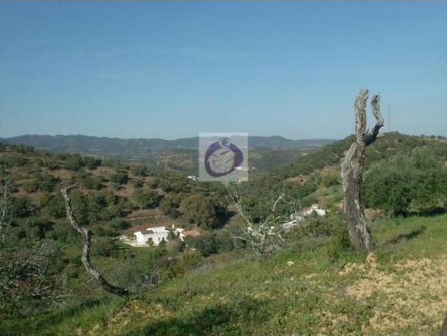 Quinta/Herdade, Santa Catarina Da Fonte Do Bispo, Tavira | BPI Expresso Imobiliário