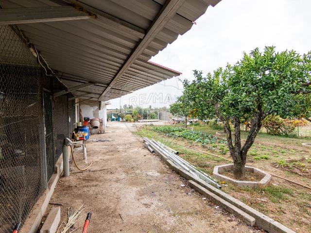 Quinta/Herdade T4, Escalos de Baixo e Mata, Castelo Branco | BPI Expresso Imobiliário