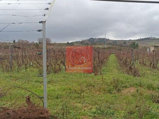 Quinta/Herdade T0 à venda no concelho de Armamar, Viseu | 26083526265