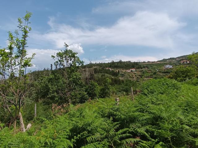 Quinta/Herdade T0, Ventosa, Vouzela | BPI Expresso Imobiliário