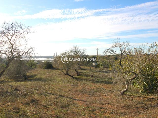 Quinta/Herdade T1, Estômbar e Parchal, Lagoa Algarve | BPI Expresso Imobiliário