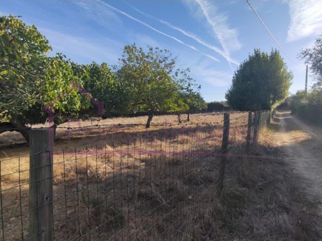 Quinta/Herdade T2, Estremoz Santa Maria e Santo André, Estremoz | BPI Expresso Imobiliário