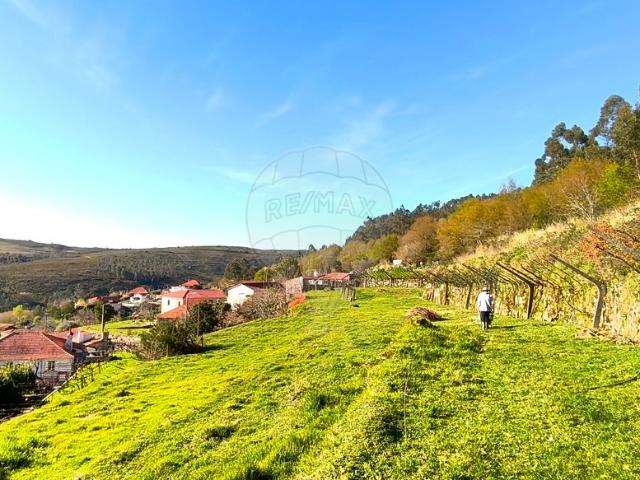 Quinta/Herdade T3, Formariz e Ferreira, Paredes de Coura | BPI Expresso Imobiliário