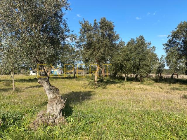 Quinta/Herdade, Vale de Santarém, Santarém | BPI Expresso Imobiliário