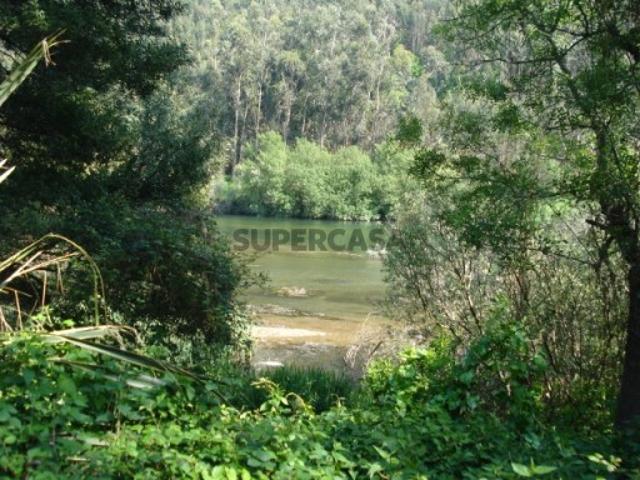 Quintas e casas rústicas em Macinhata do Vouga