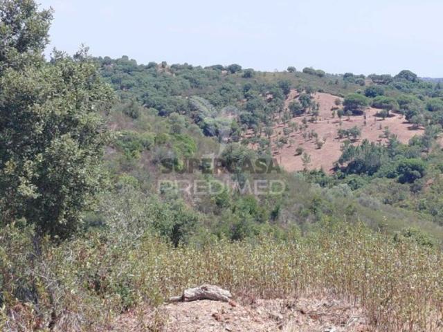 Quintas e casas rústicas em São Francisco da Serra
