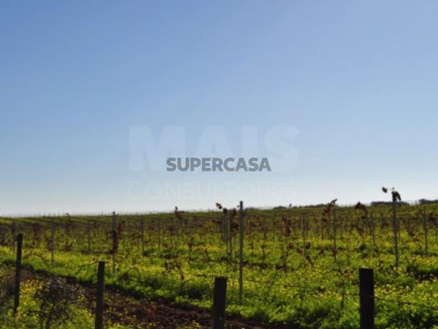 Quintas e casas rústicas em Reguengos de Monsaraz