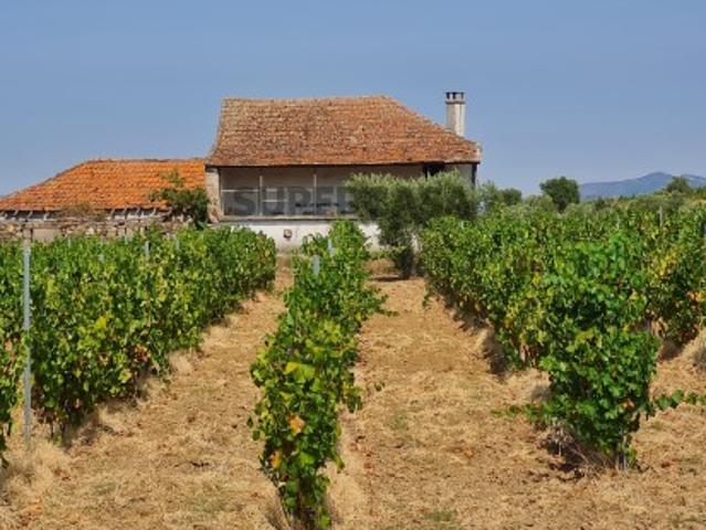 Quintas e casas rústicas em Vilas Boas e Vilarinho das Azenhas
