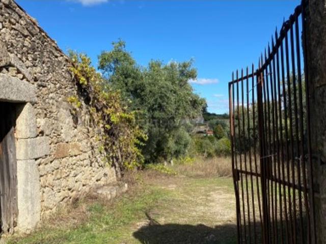 Quintas e casas rústicas T0 em Castelo Branco