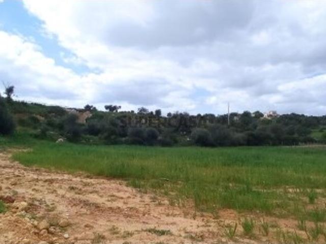 Quintas e casas rústicas T0 em Albufeira e Olhos de Água