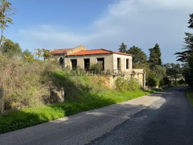 Quintas e casas rústicas T0 em Alcoentre