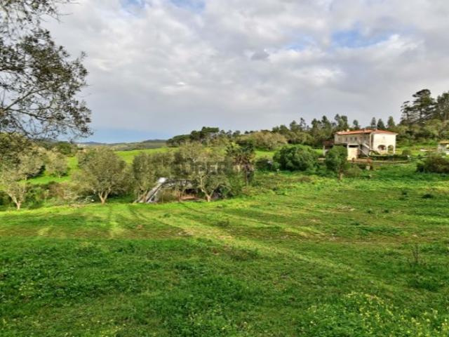 Quintas e casas rústicas em Algueirão Mem Martins