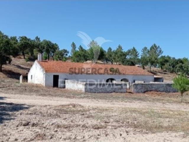 Quintas e casas rústicas T0 em Mora